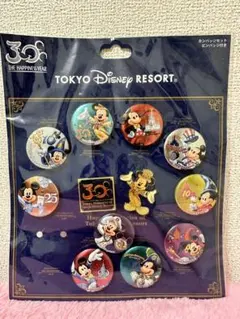 【新品】東京ディズニーリゾート 30周年記念ピンバッジセット