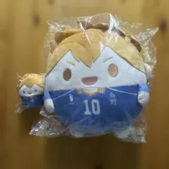 ハイキュー‼︎ くじメイト　ぬいくじ　B賞・D賞　 ふわコロりん　日向翔陽