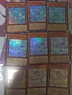 マルチャミーフワロス プルリア ニャルス スーレアセット