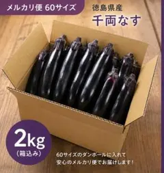 農家直送 農薬不使用 埼玉県産 朝採れ 筑陽茄子 箱込み 2キロ - メルカリ