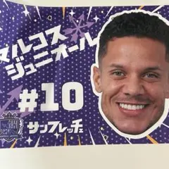 サンフレッチェ広島 カタカナフラッグ マルコスジュニオール