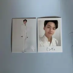 SEVENTEEN セブチ MINGYU ミンギュ ドームツアー SVT トレカ