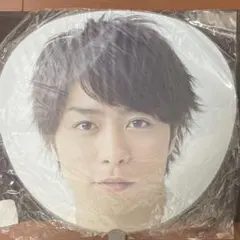 嵐 君と僕の見ている風景 櫻井翔 うちわ