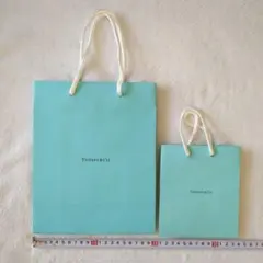 Tiffany & Co. ショッピングバッグ 2枚セット