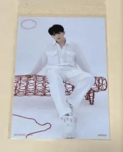 seventeen ウジ 24H クリアファイル UMS 特典