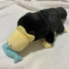 AMUSE カモノハシ ぬいぐるみ キーホルダー　19cmのサムネイル