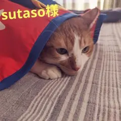 2025年最新】アルビオンエクシアリプラントクリームの人気アイテム