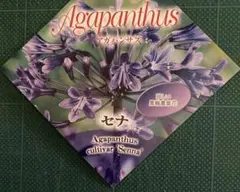 まー様 リクエスト 2点 まとめ商品