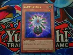 2026年最新】グローアップバルブ 英語の人気アイテム - メルカリ
