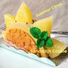フェイクスイーツ おひさま向日葵のサマーオレンジ クッキーサンド 食品サンプル