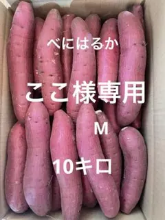 ここ様専用出品　M 10キロ