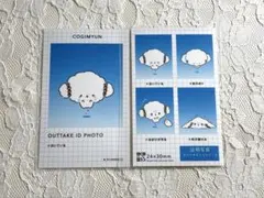 サンリオ こぎみゅん 証明写真風ブロマイド