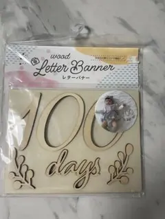 Item thumbnail for item 07be5bf8-98f1-4024-b96d-2569cd03cf62