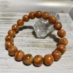 2026年最新】山珊瑚の人気アイテム - メルカリ