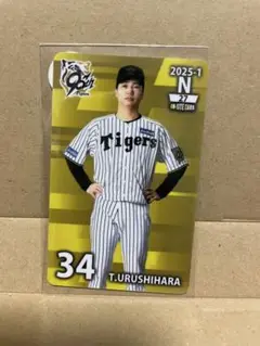 阪神タイガースユニホーム　漆原 阪神タイガースユニホーム 漆原