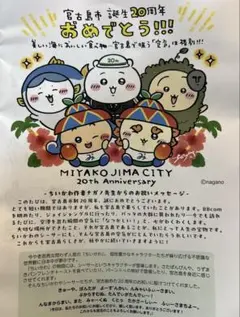 ちいかわ×宮古島市　非売品:広報誌