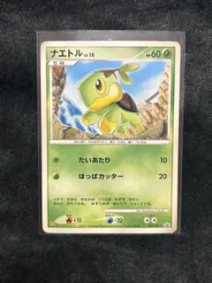 2026年最新】ナエトル プロモの人気アイテム - メルカリ