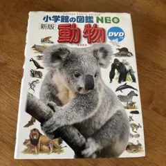 Item thumbnail for item ed710a81-302b-432b-a573-5c1e996ed9a9