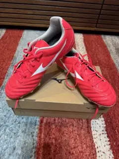 Mizuno ミズノ　モナルシーダ　24cm
