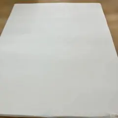 トゥルースリーパー 低反発マットレス プレミアム クイーンサイズ