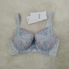 Item thumbnail for item 5bba4e34-5692-44c3-8465-bdb7d743d35c