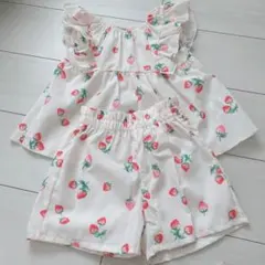 cotocotopon(*˙︶˙*)様 リクエスト 2点 まとめ商品