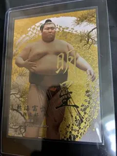 Item thumbnail for item 958fab61-d428-406b-9607-2cbbedf06ae7