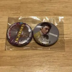 SHOKICHI 缶バッジ 2個セット EXILE THE REASON ガチャ