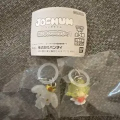 JOCHUM めじるしアクセサリー　ガチャ　ジェオチャム　RURU モコ