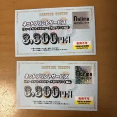ノジマ　ネットプリントサービス 割引券　2枚セット