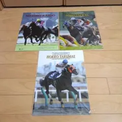 JRA 60th Anniversary メモリアルレース クリアファイル 3枚