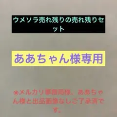 『ああちゃん様専用』 ウメソラ売れ残りの売れ残りセット （訳あり最終処分価格）
