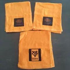 GIANTS 2019シーズンタオル3枚セット