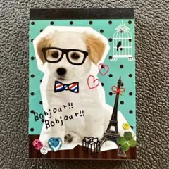 平成レトロ動物犬うさぎ実写版メモ　クーリア