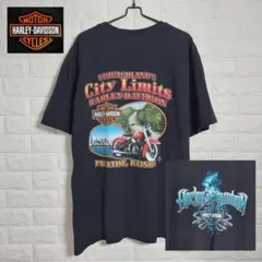 ハーレーダビッドソン　Tシャツ　両面プリント　アメカジ　ライダー　　 3L相当