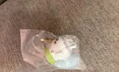 ちいかわ　たべものいっぱいマスコット　モモンガ