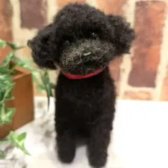 Item thumbnail for item c4b03d2a-dbc8-45ed-8b10-513062f6d5c9