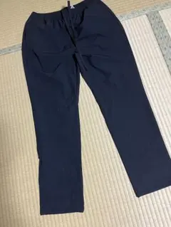 レディース ウォーキングパンツL 総ゴム