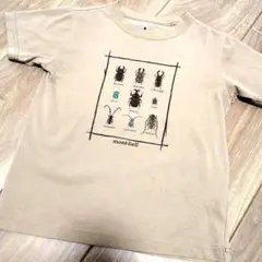 モンベル　130cm Tシャツ　セット　カブトムシ　虫