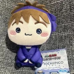 忍たま乱太郎 ドクタケ忍者隊最強の軍師 もちぴこぬいぐるみ 第六弾 不破雷蔵