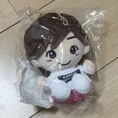 道枝駿佑 ちびぬい