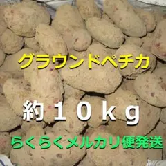 2026年最新】デストロイヤ 10kgの人気アイテム - メルカリ