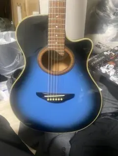Morris アコースティックギター ブルーグラデーション - メルカリ