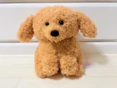 2026年最新】トイプーのモコフィーの人気アイテム - メルカリ