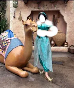 ディズニープリンセス ジャスミン コスプレ フルセット