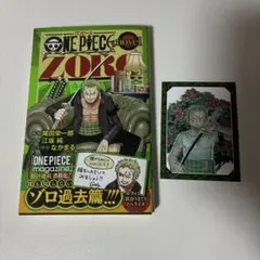 ONE PIECE novel ZORO ゾロ過去篇 特典カード付き - メルカリ