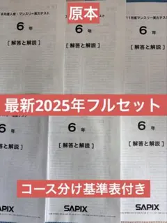 2026年最新】サピックステストの人気アイテム - メルカリ