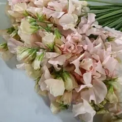 ぽん様 リクエスト 2点 まとめ商品