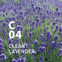 C04 クリーンラベンダー ピエゾアロマオイル 100mlのサムネイル