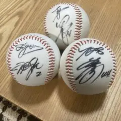 タ*6様 サインボール